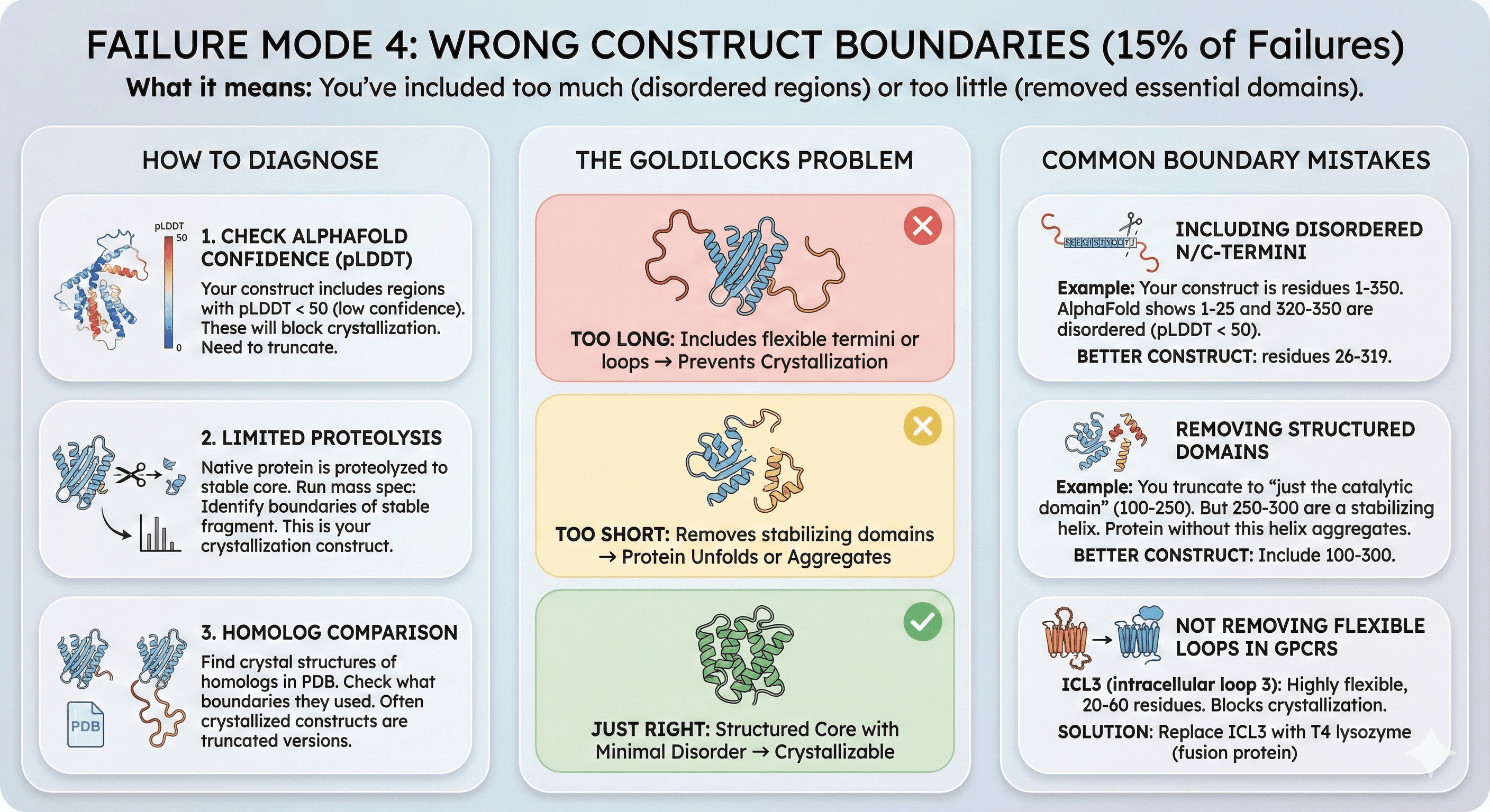 Diagram Showing Wrong Construct Boundaries' Effect on Protein Crystallization
