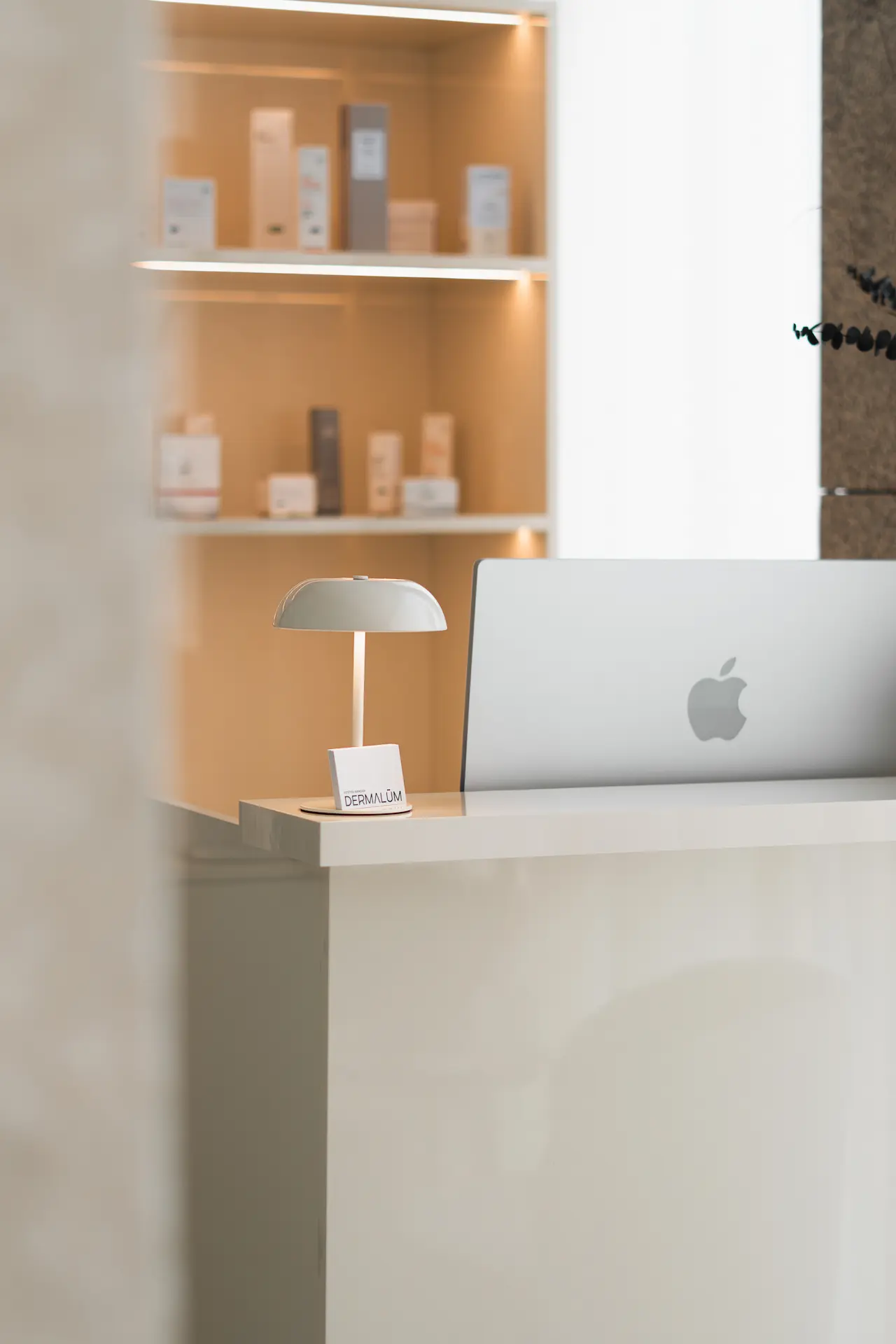 rececao-centro-dermalum