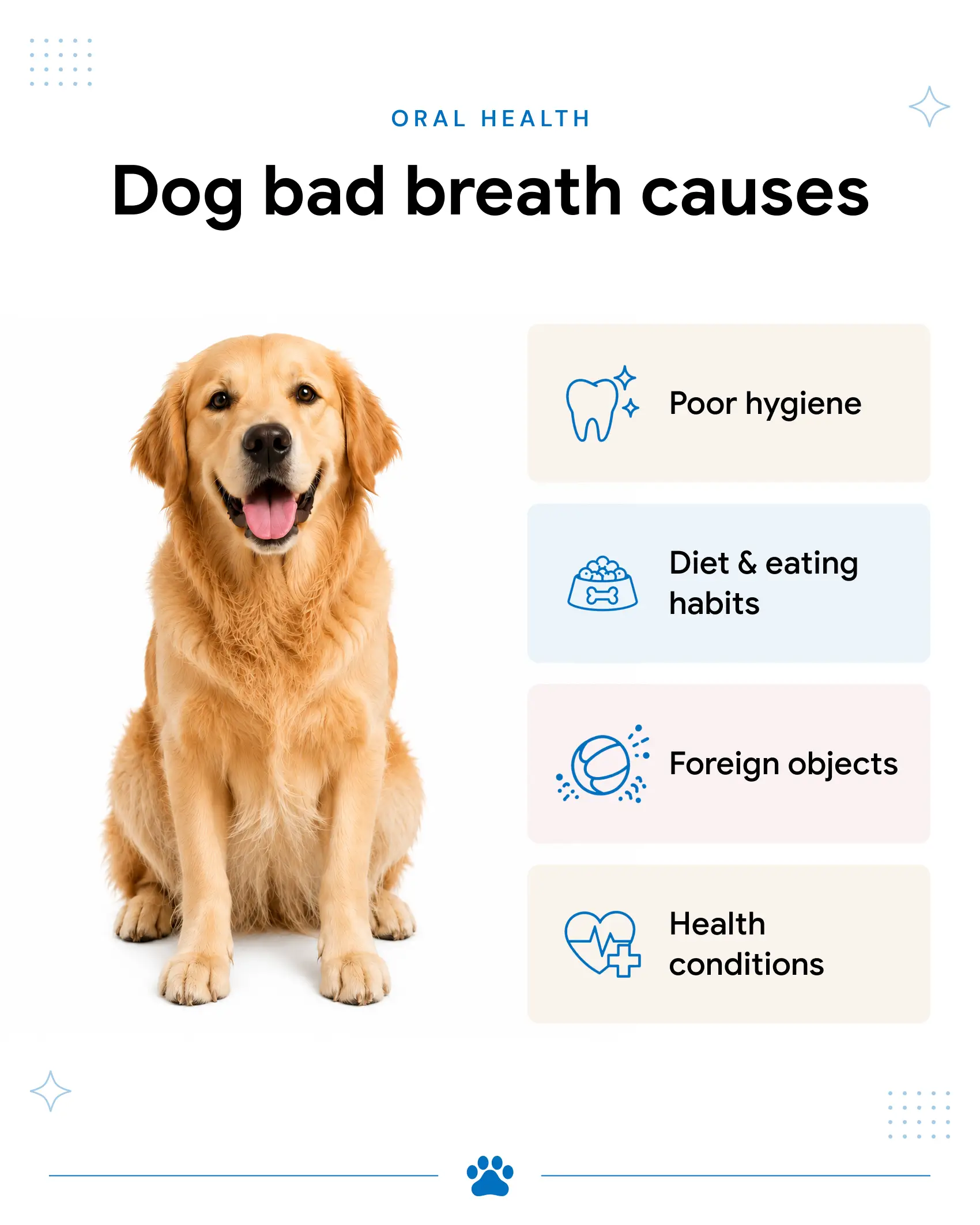 An infographic showing the causes of bad breath in dogs.