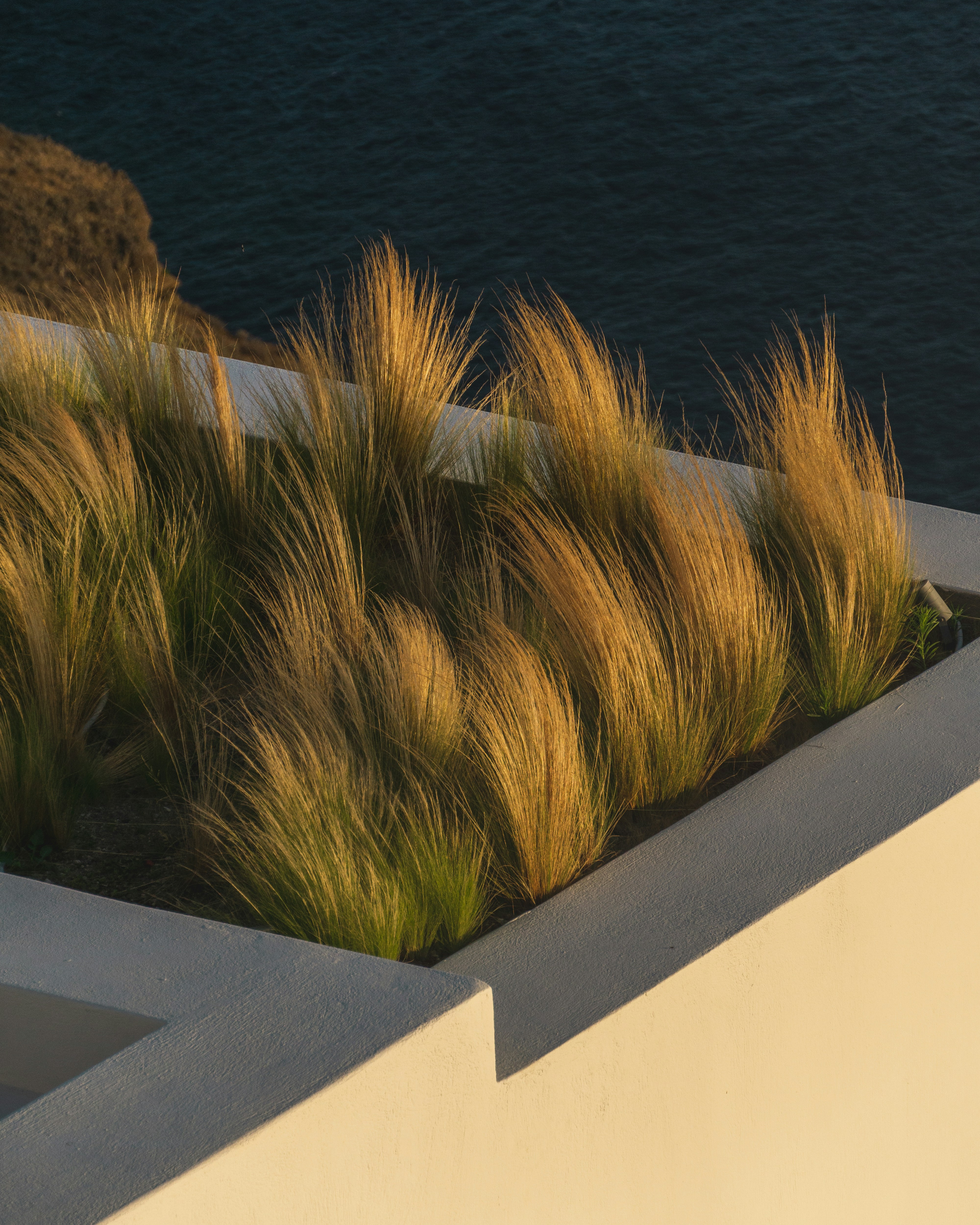 Image of concrete plant bed