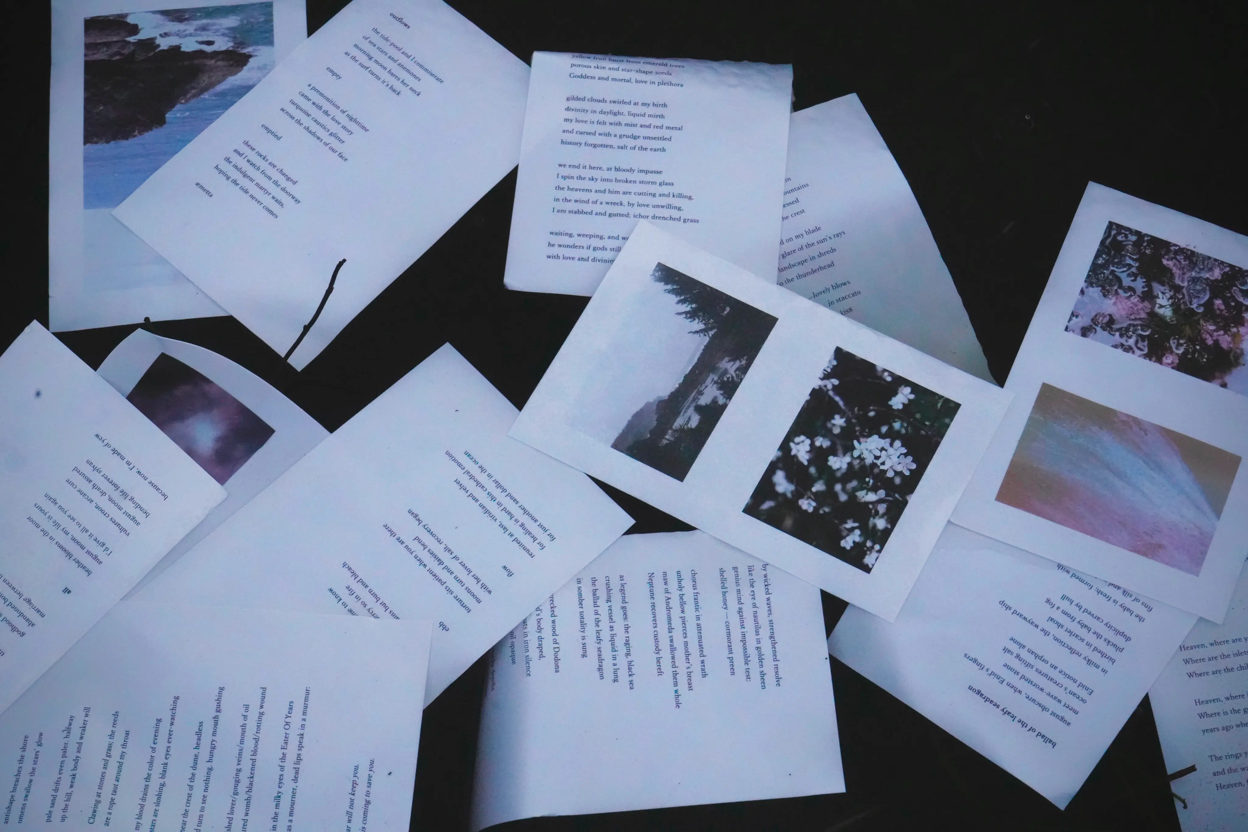 Pages of my poetry and photography book, 'petrichoric', adrift in dark water