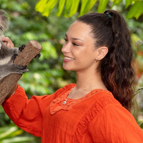 Kuranda Koala Gardens