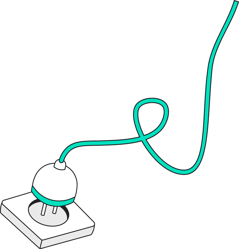 basil_3