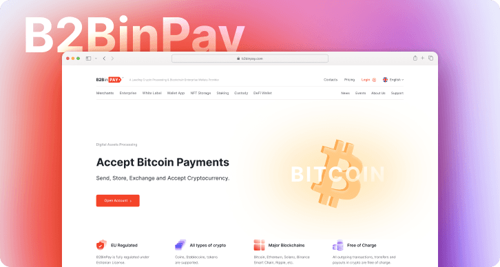 B2BinPay Website