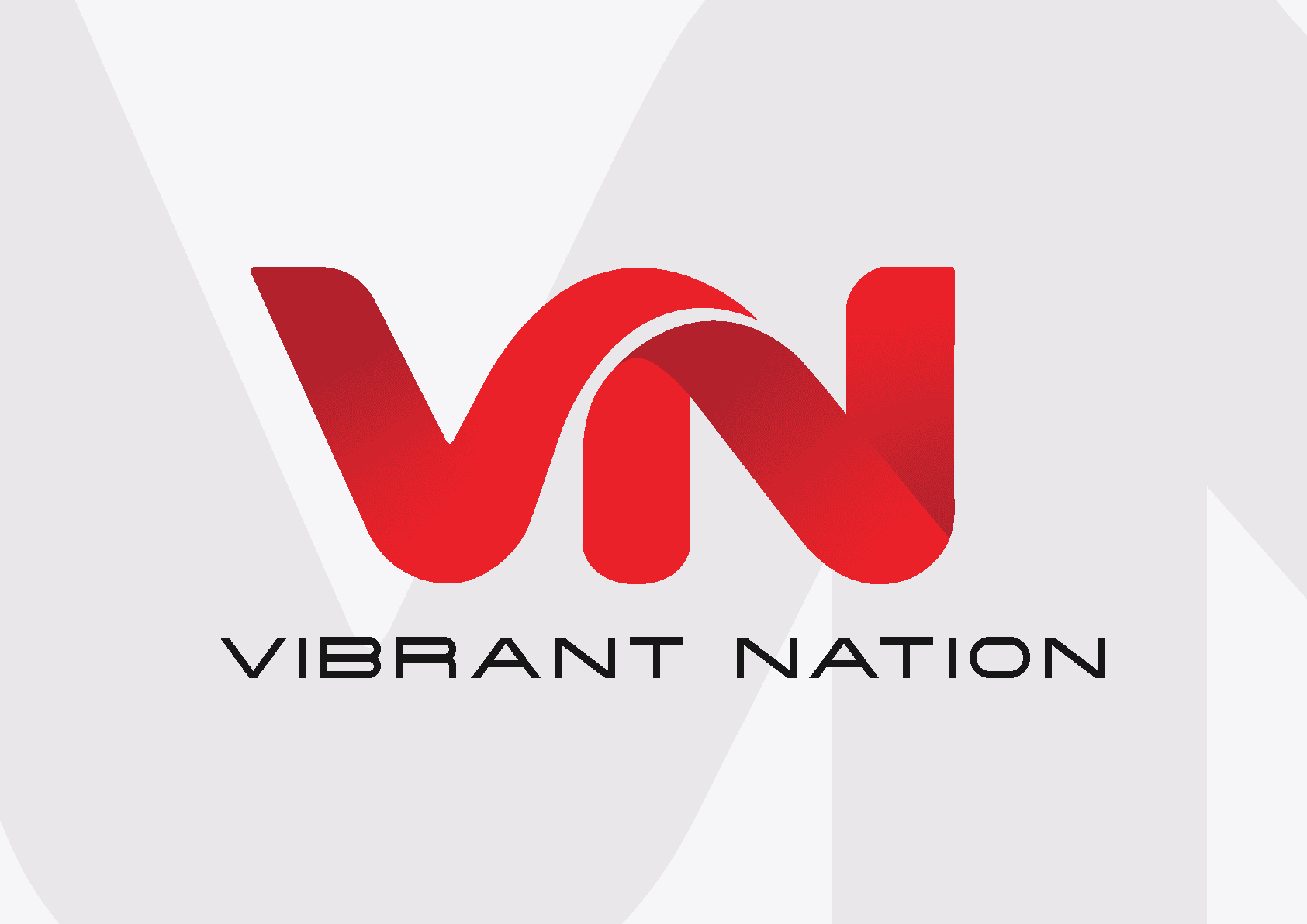 Vibrant Nation Case Study - Ddraig Studio