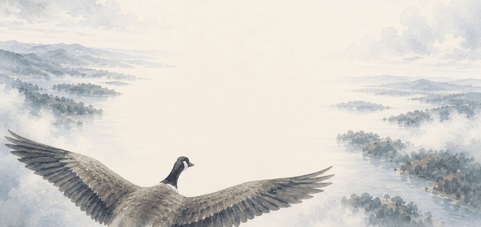 Lake-park-goose-landscape
