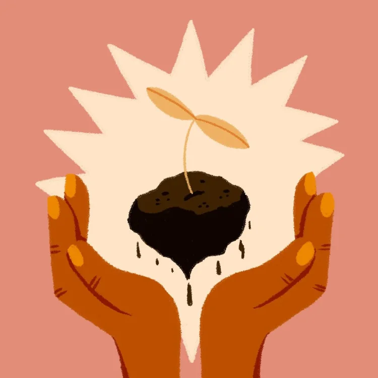 Illustration of hands holding soil with a small plant sprout on a pink background.