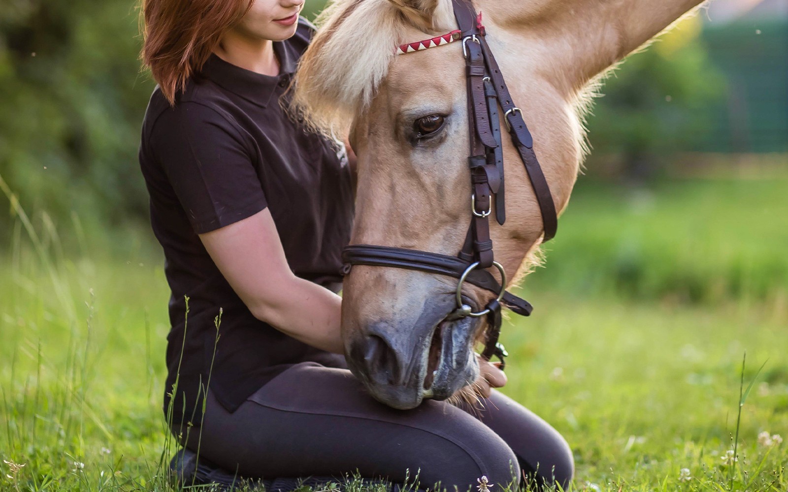 Persona arrodillada junto a un caballo en un campo de hierba cerca de Cracovia.