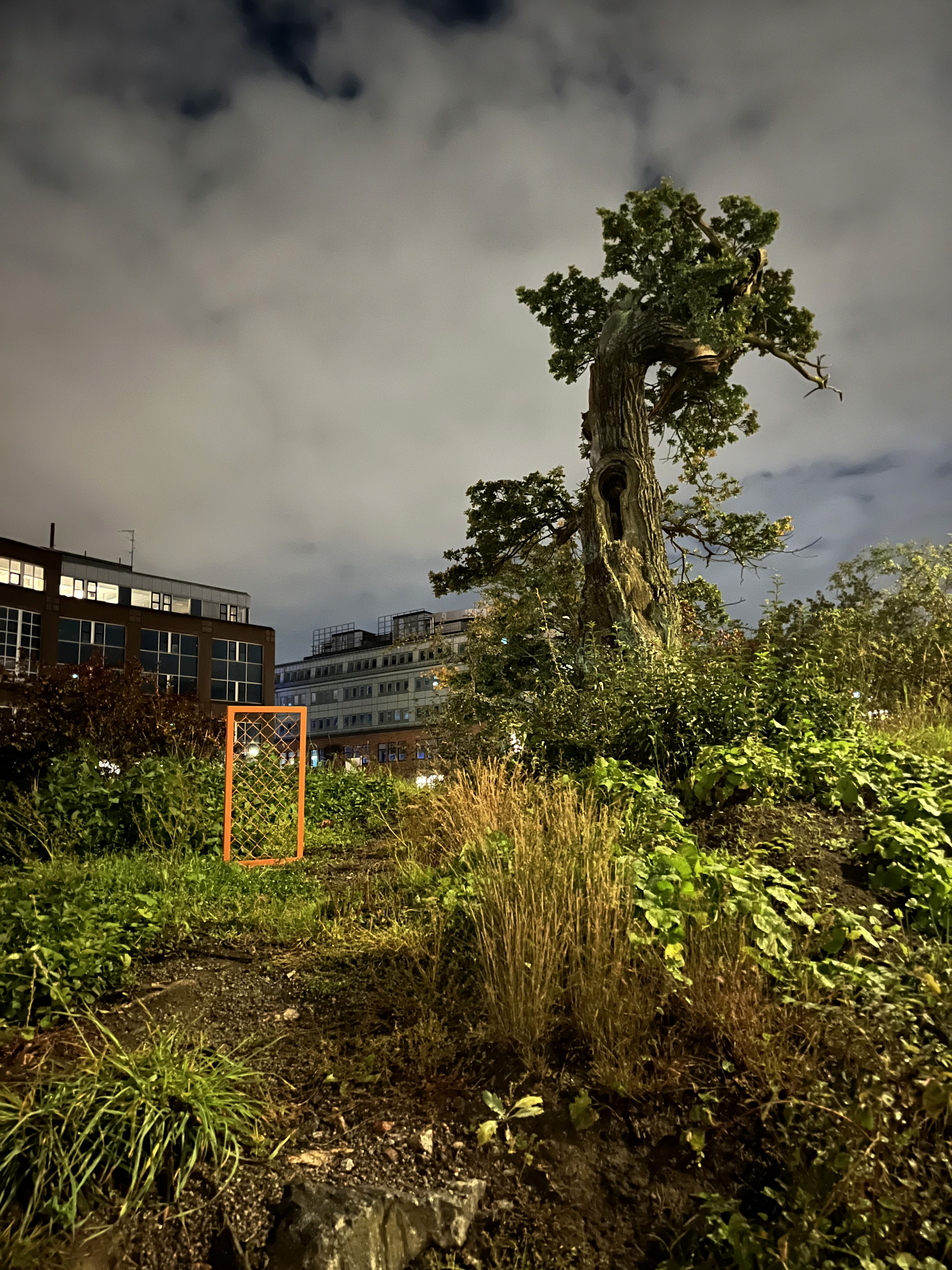 Måndag 04:28 (Monday 04:28), Siri Tolander, commuter paths, Stockholm, Sweden, uncommissioned, 2025