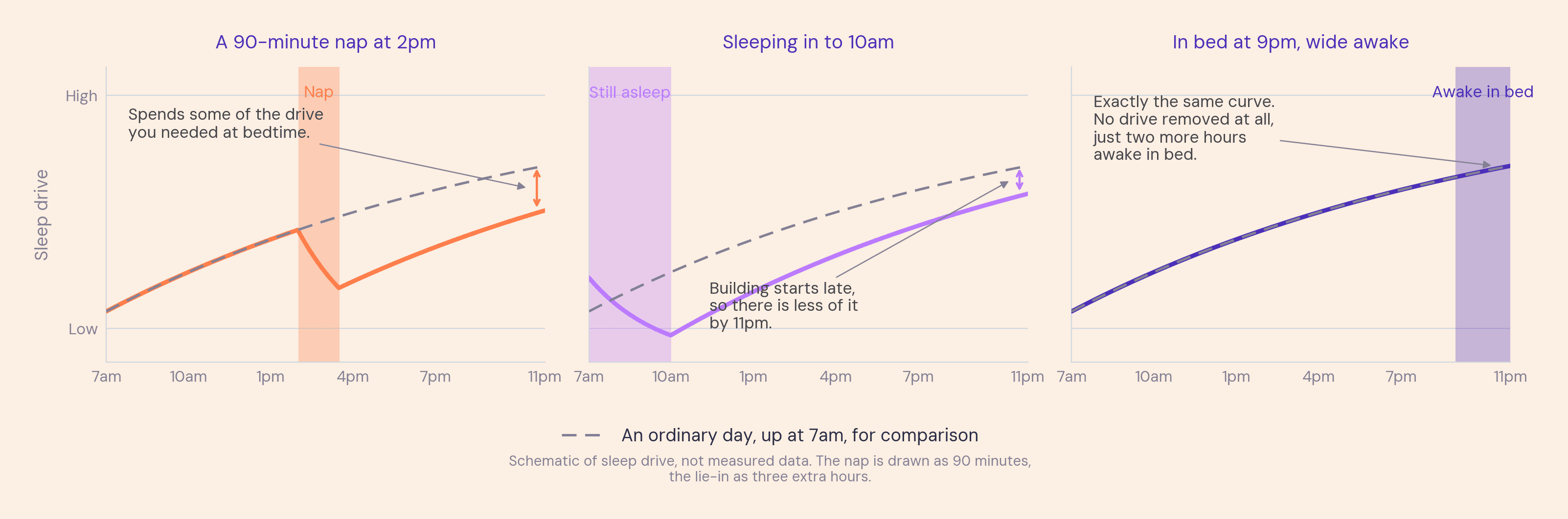 Three-panel schematic of sleep drive. A 90-minute nap at 2pm spends some of the drive needed at bedtime, sleeping in to 10am starts the build late so there is less by 11pm, and getting into bed at 9pm while wide awake leaves the curve unchanged while adding two hours awake in bed.
