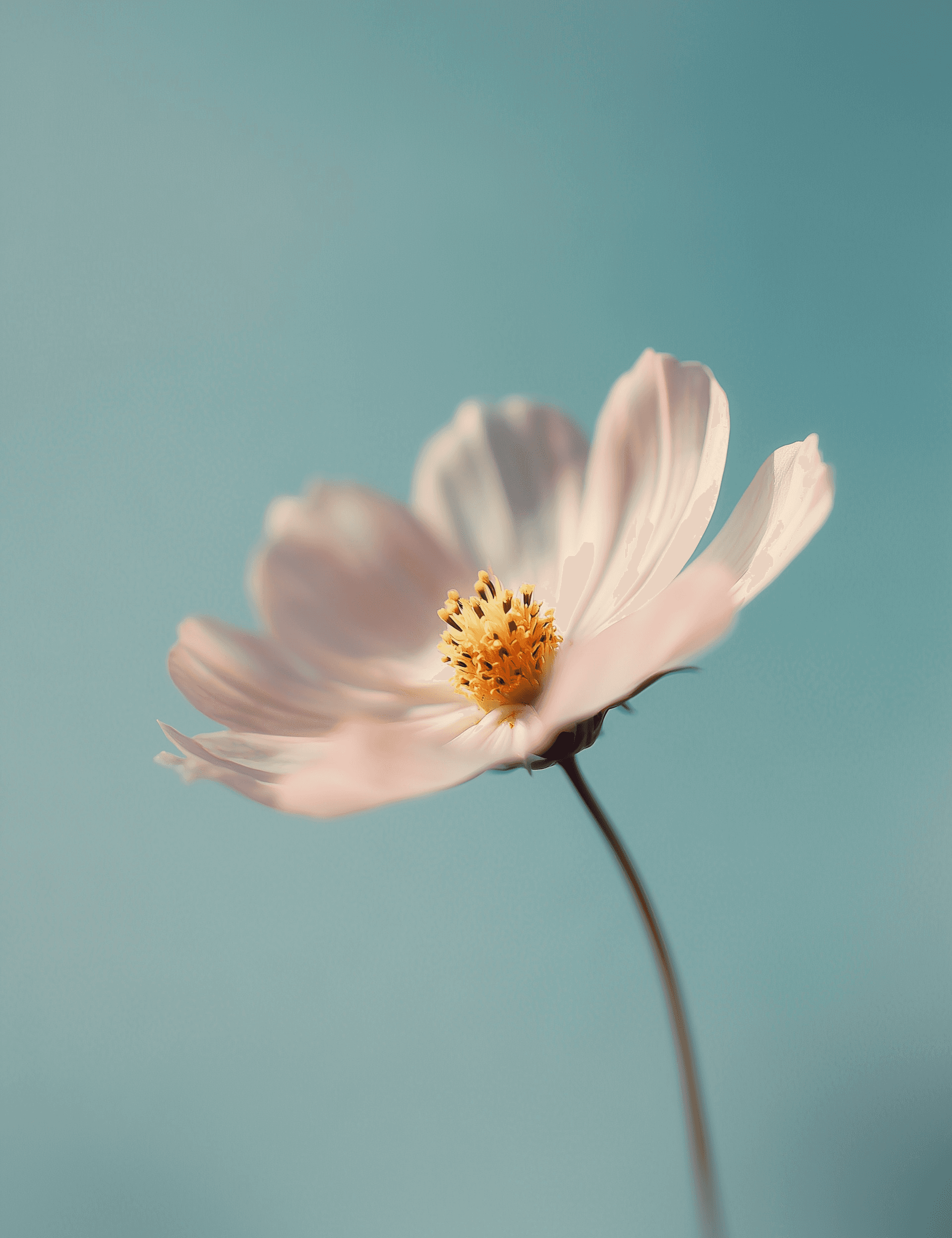 Describe your image here