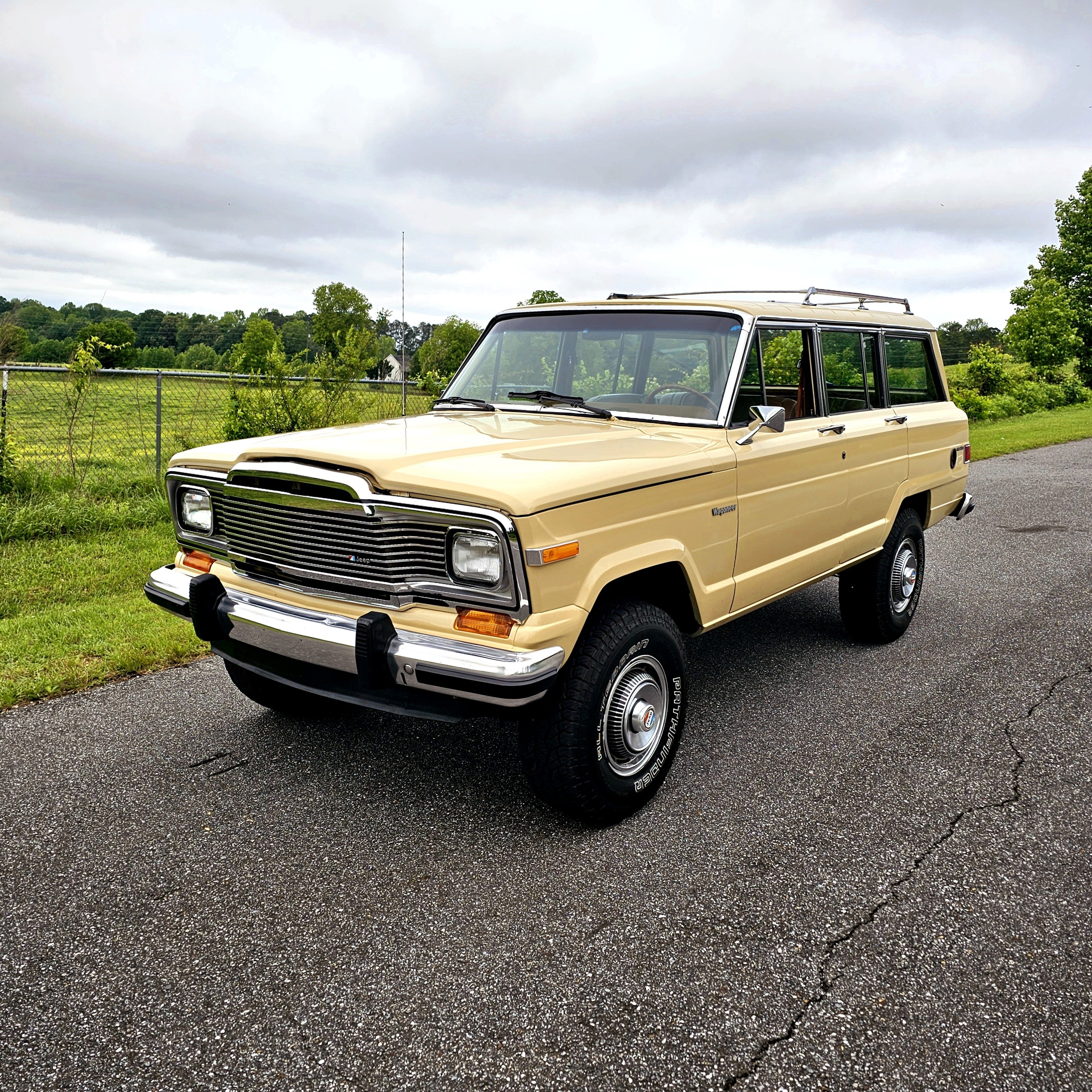 Full, complete detail on a 1983 Jeep Wagoneer performed on-site in Cartersville..