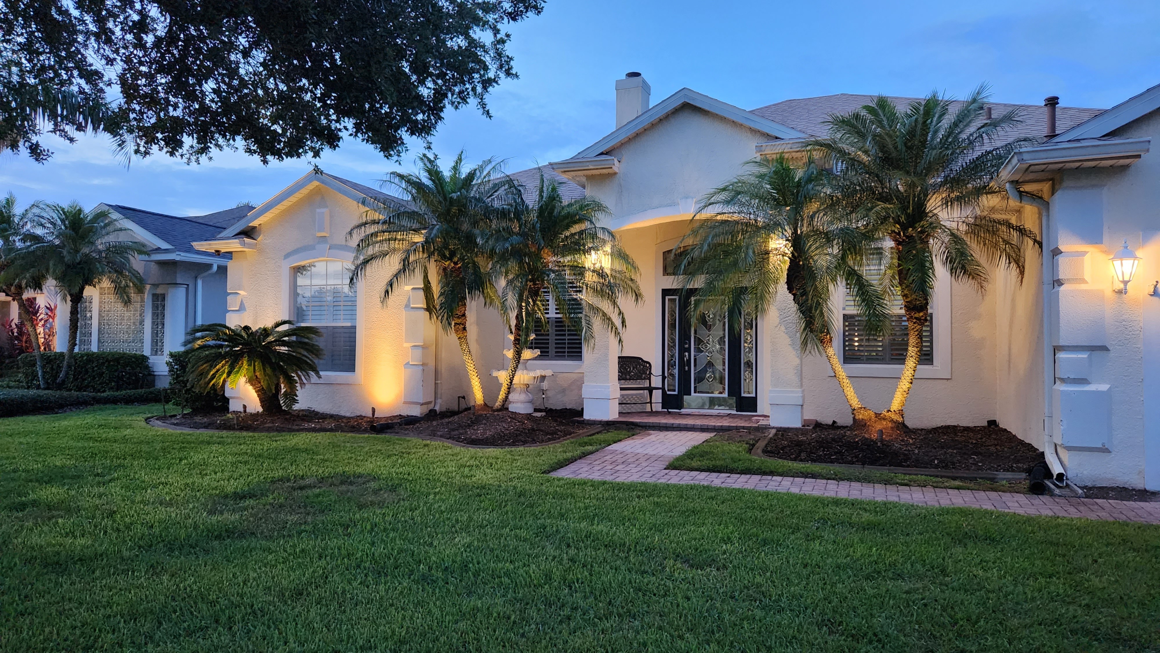 Front yard landscape lighting illuminating palm trees and garden beds