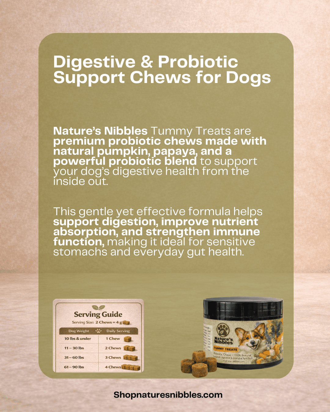 energetic dog running probiotics