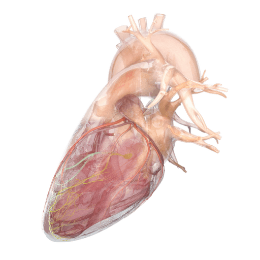 A man pointing his finger to a increasing chart