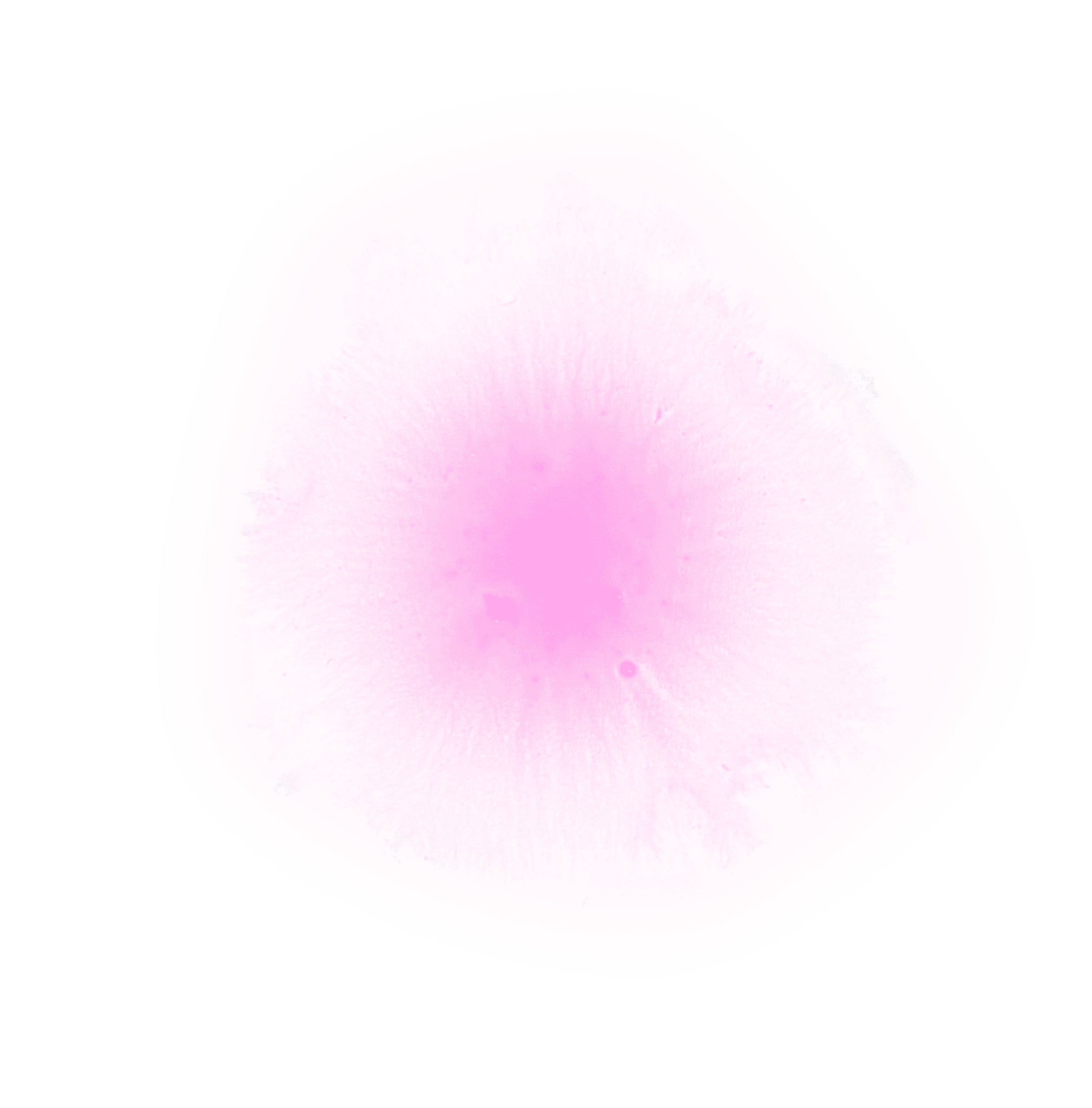 A circular pink ink splash shape with a yellow center.