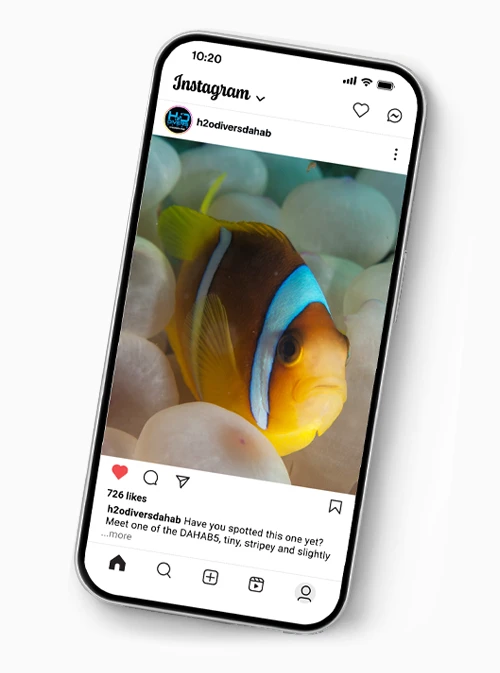 Phone with a instagram image of a clownfish