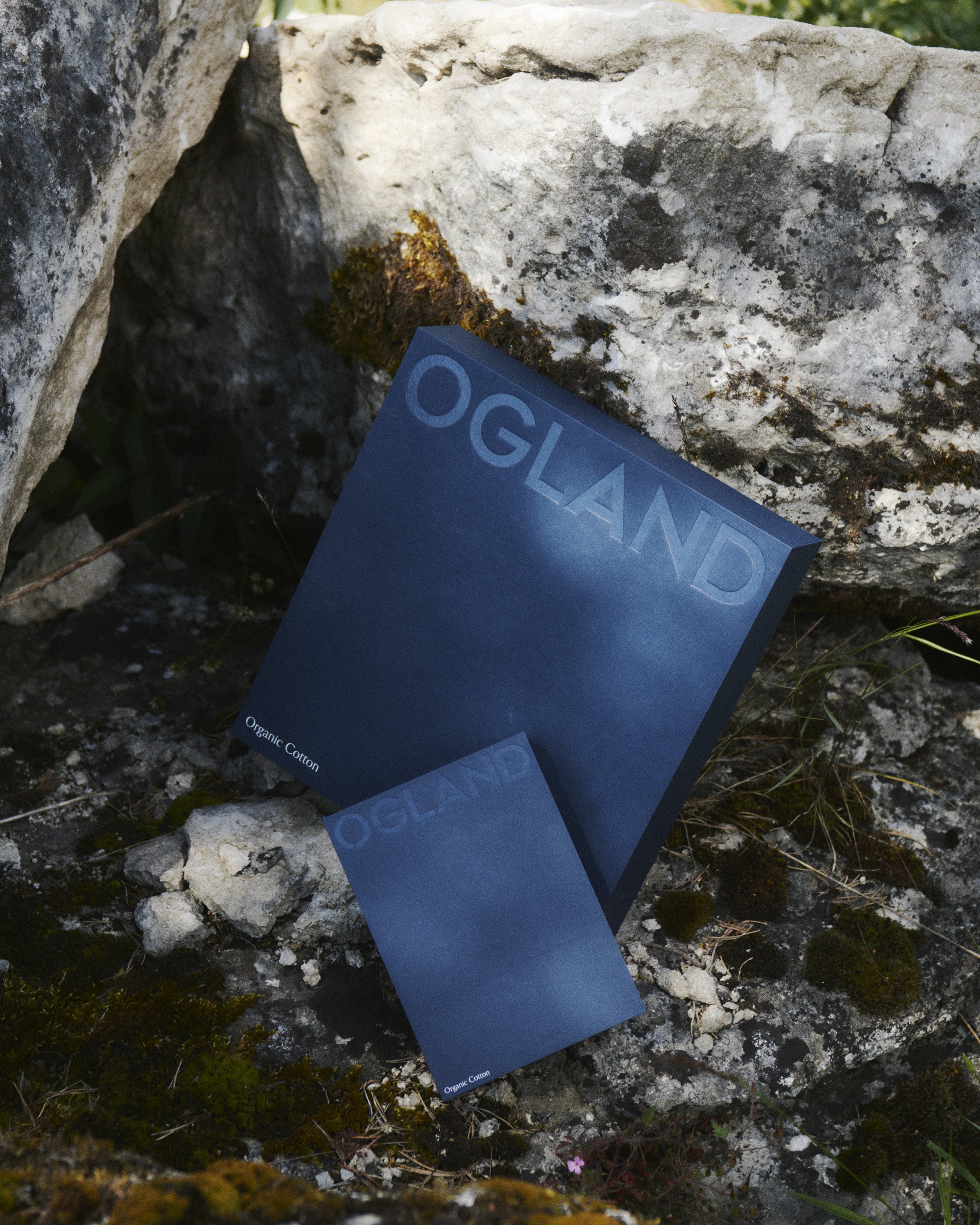 Ogland, selected image 3