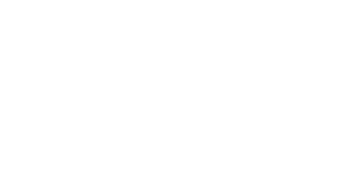 Brick Bodies