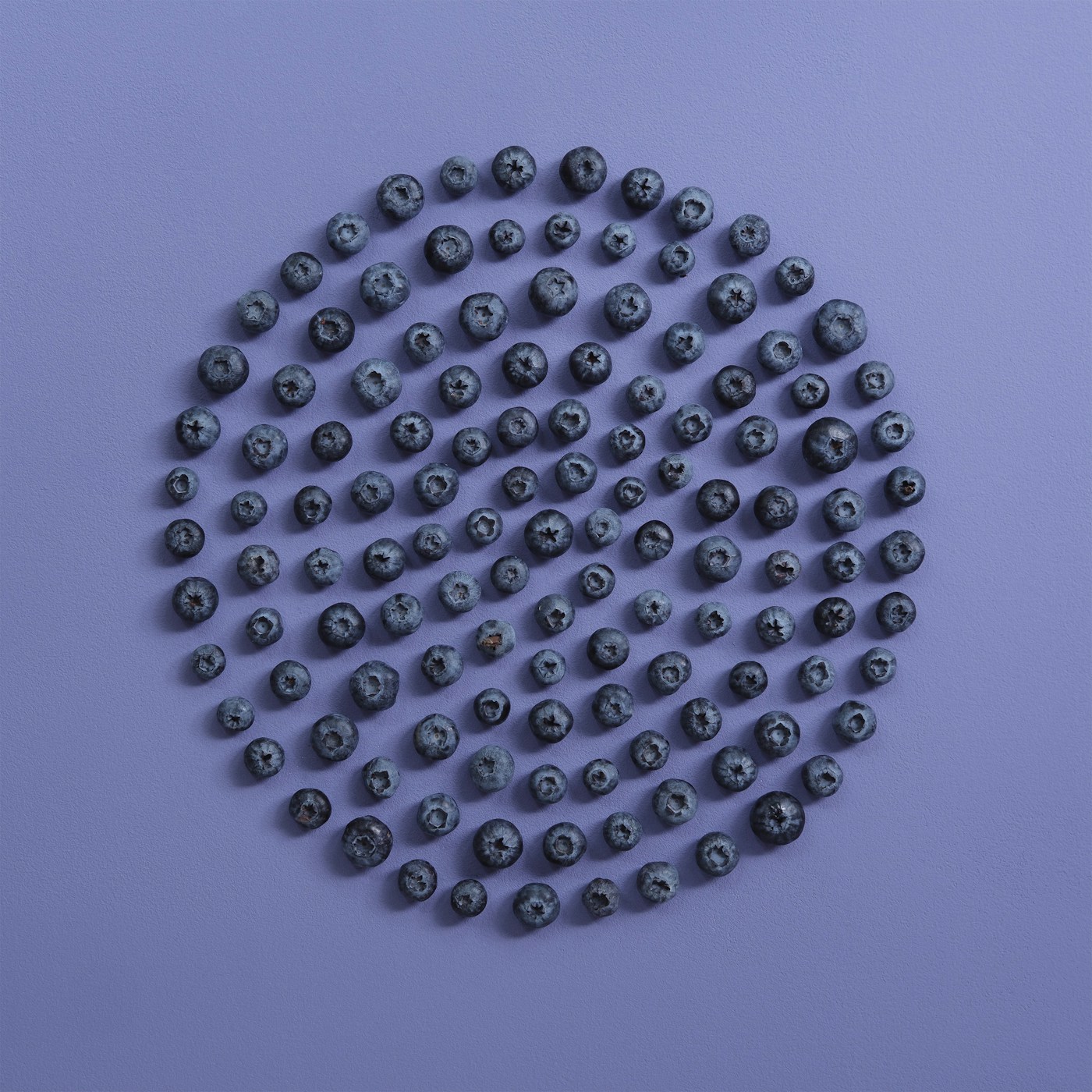 Blackcurrant, the fruit