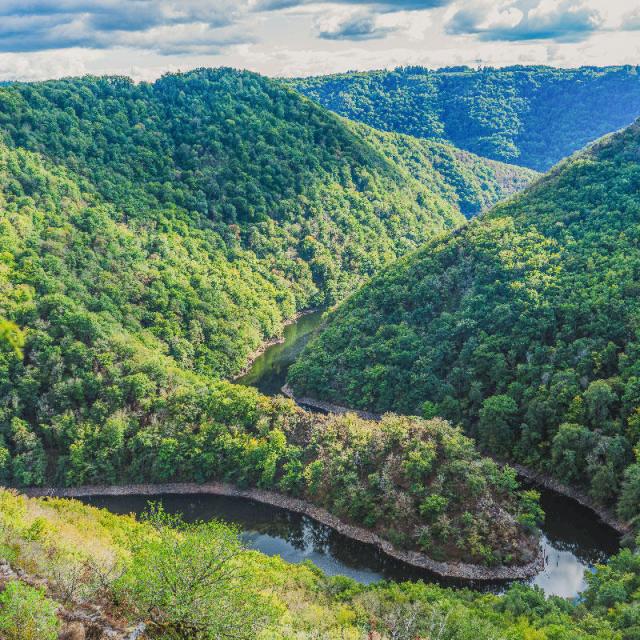 Transformation digitale Altame