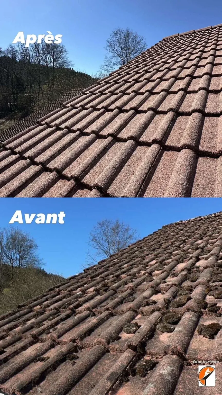 Rénovation et nettoyage de toiture