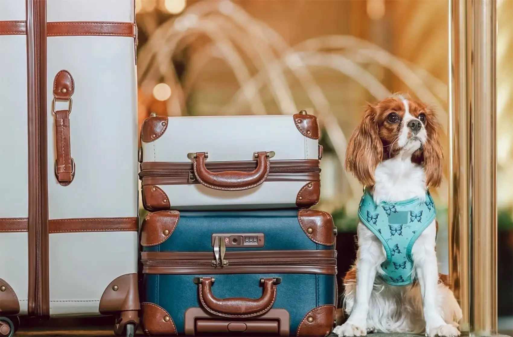 The Ottoman-inspired interior of Jumeirah Zabeel Saray, a pet-friendly luxury resort on Palm Jumeirah