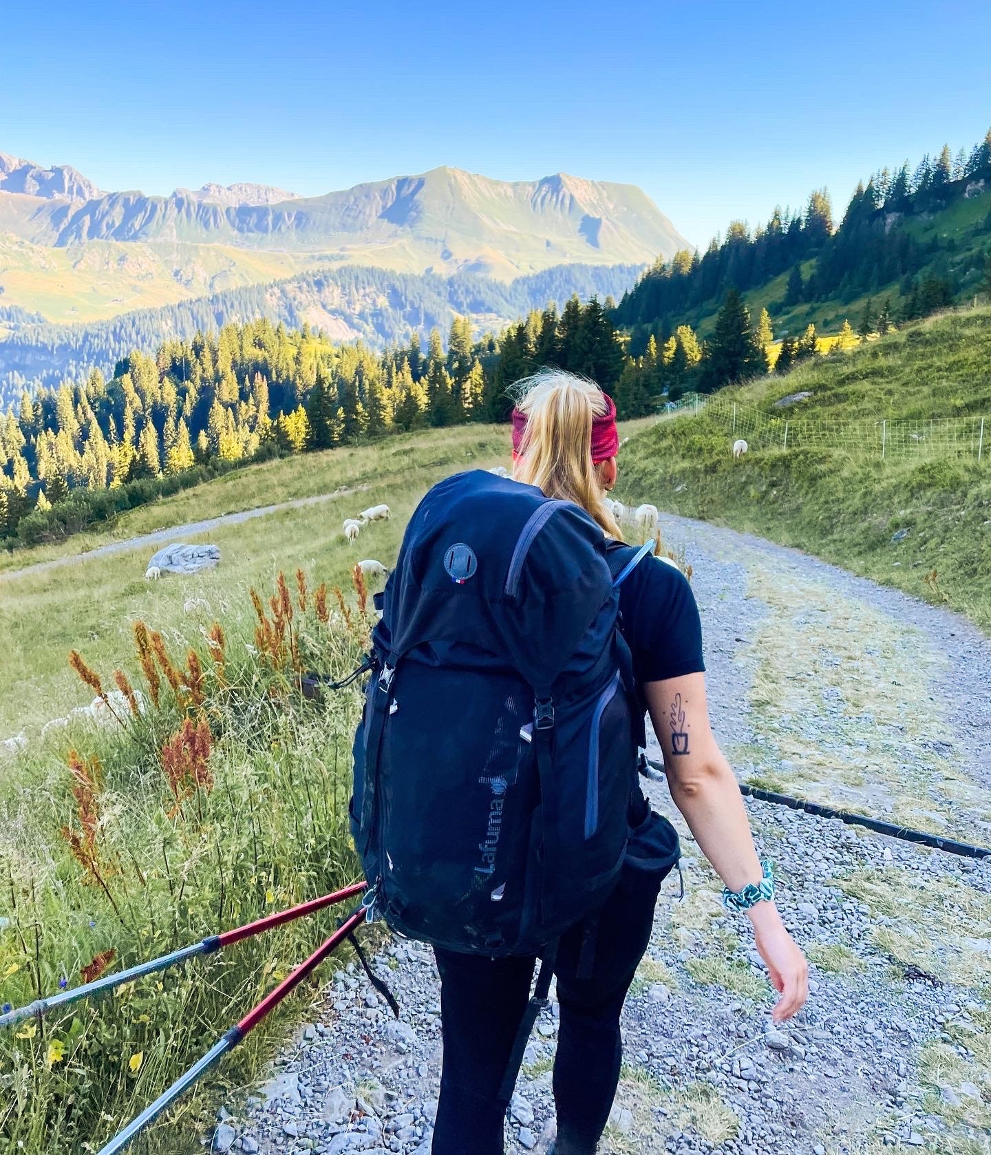 The image featured at the top of the about us page #1