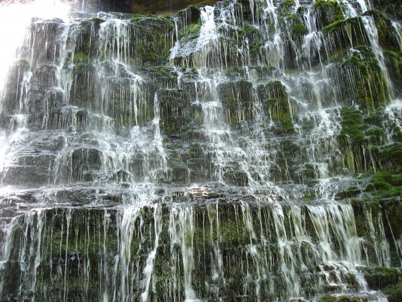 We Rock the Spectrum – Triad, North Carolina