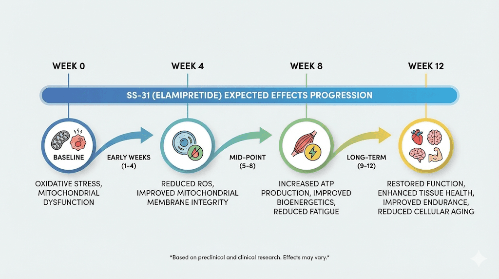 SS-31 peptide results timeline expectations