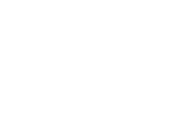 Logo for an imagined company