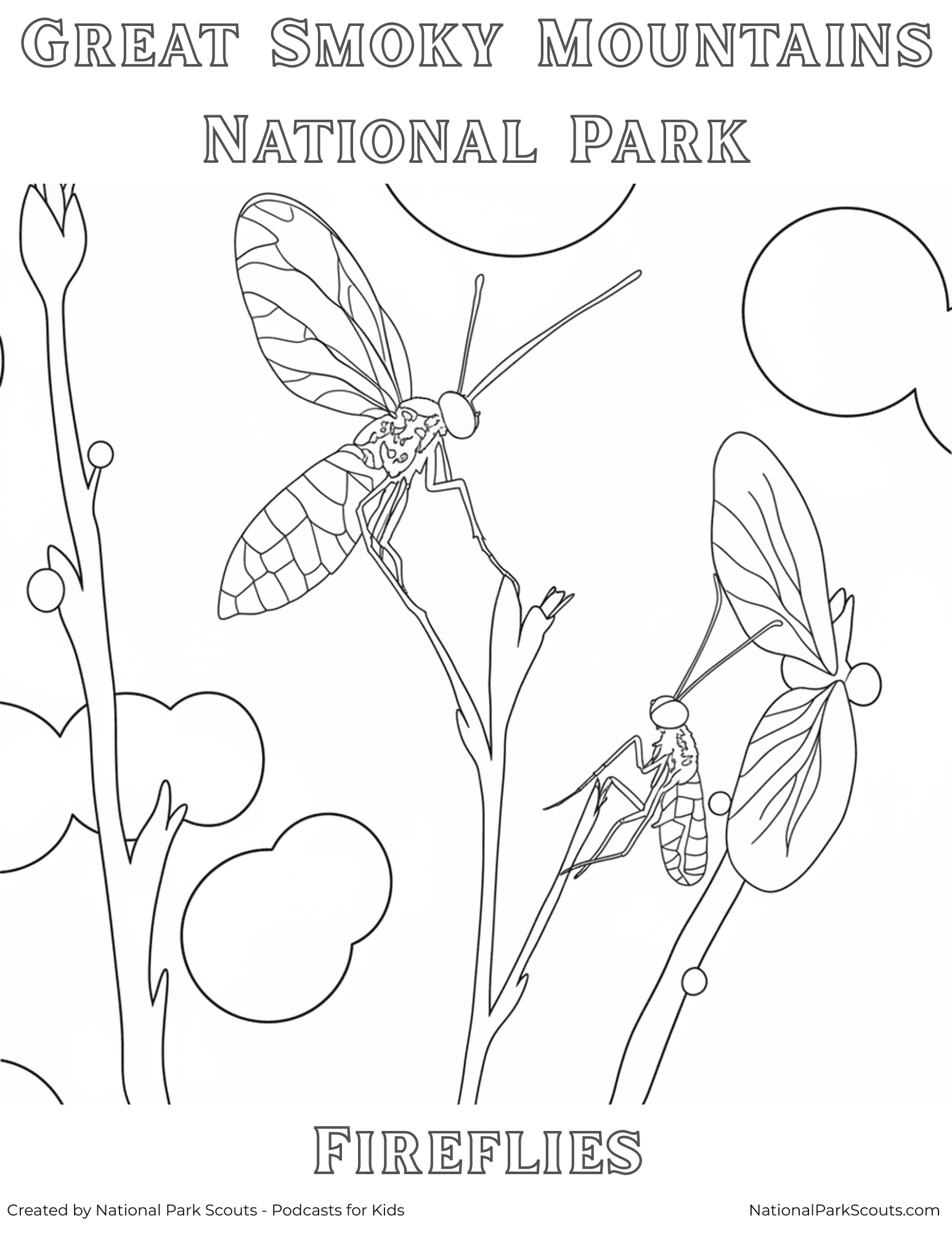 Fireflies Smoky Mountains National Park Coloring Page