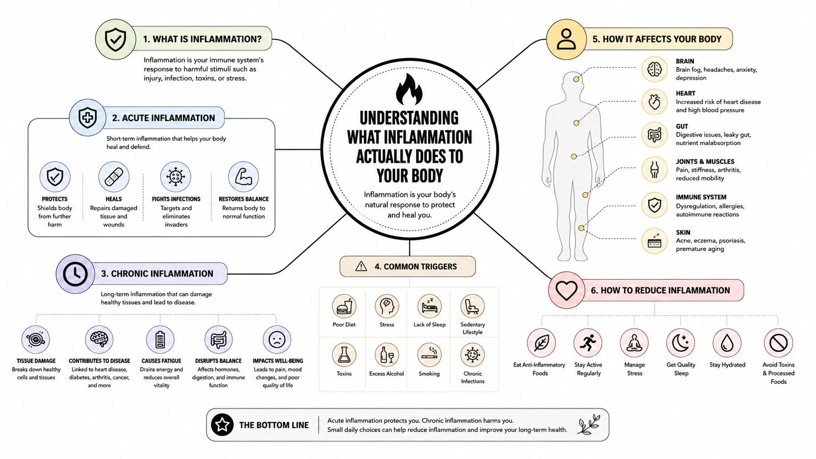 An infographic explaining the differences between acute and chronic inflammation, its triggers, and ways to reduce it.