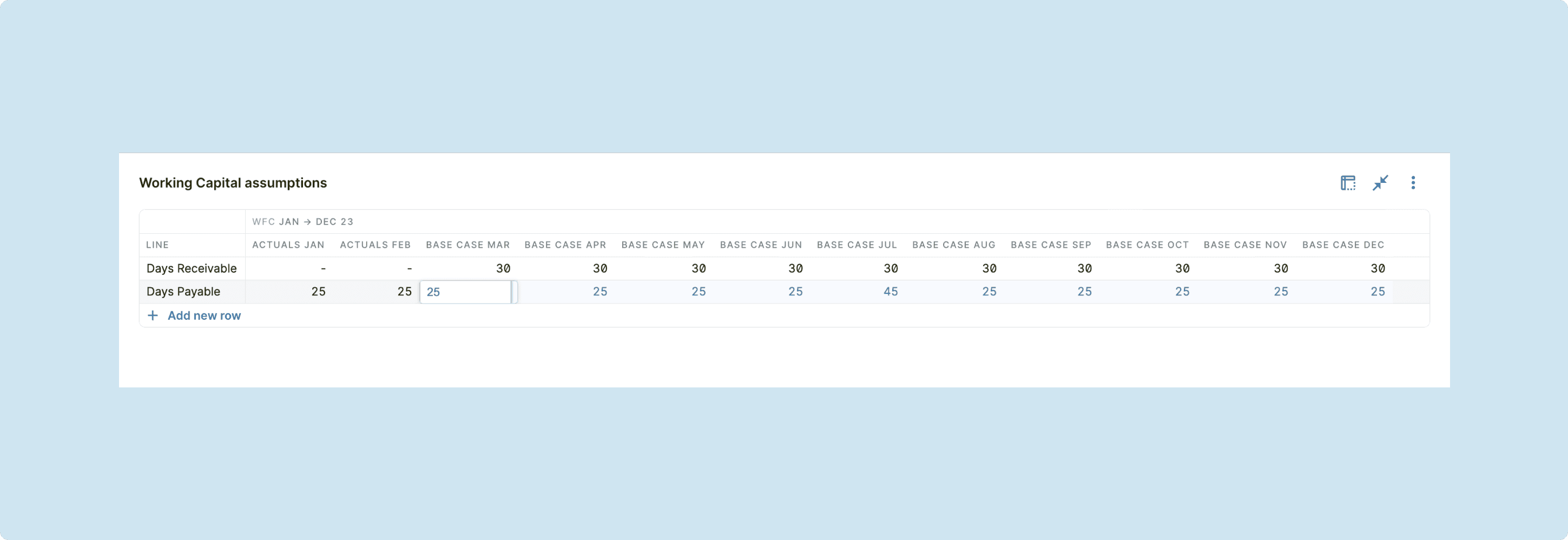 Capital assumptions in cash flow template