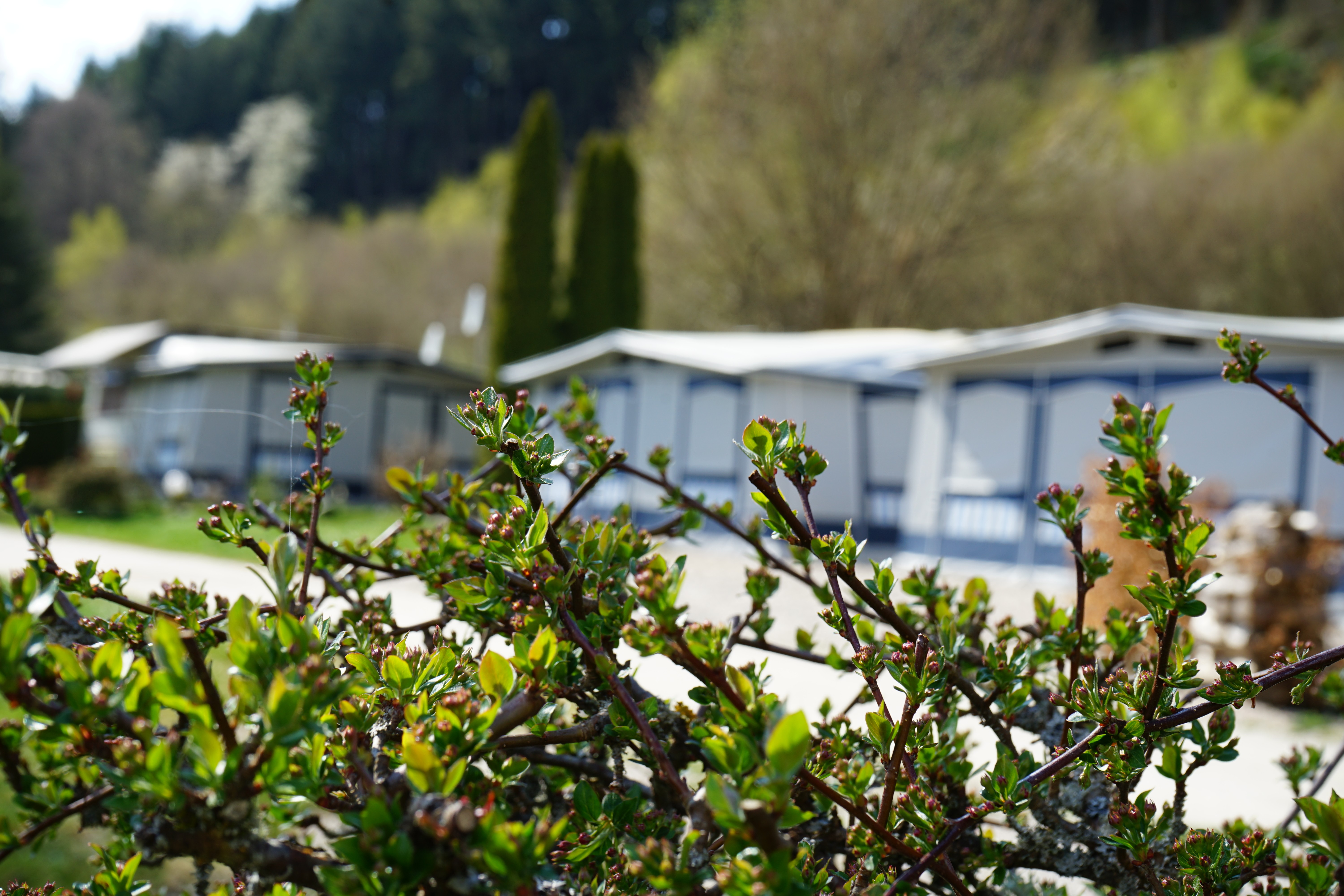 Wohnwagen im Dauerstell bereich