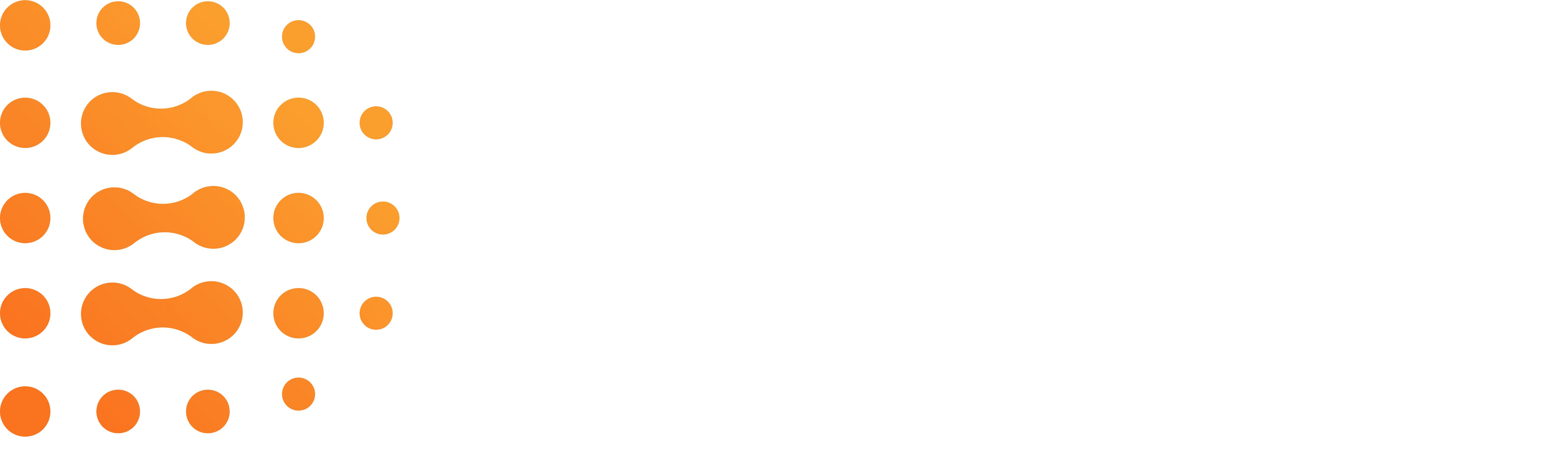 Dutch IoT Solutions Logo in white