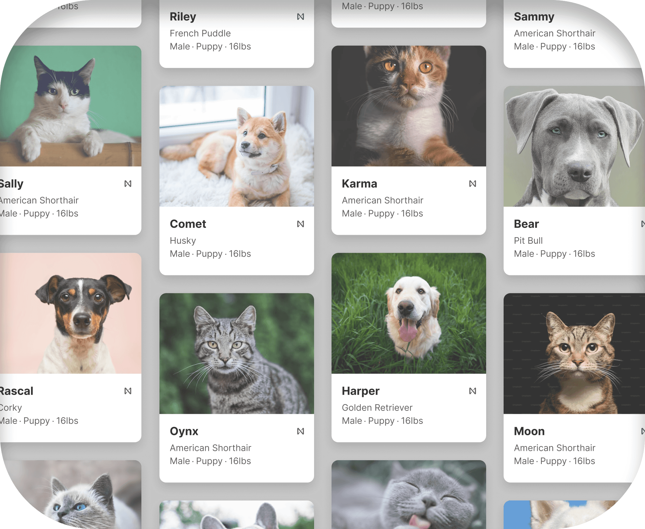 man and women using laptop