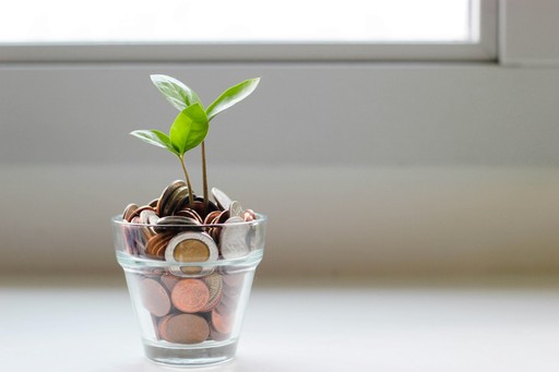 Plant growing from a glass of coins, symbolizing financial planning for Americans in France