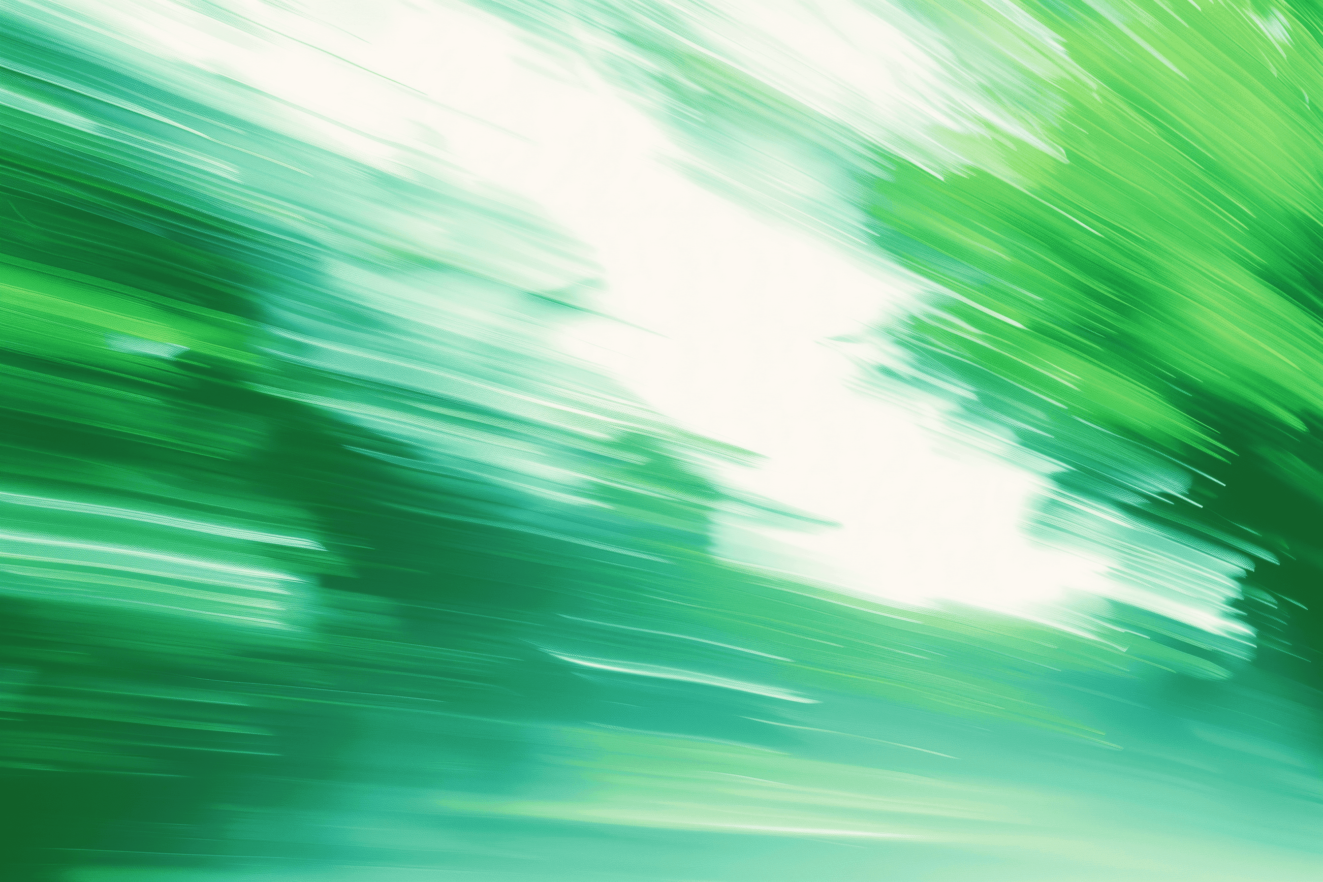 person checking expenses on ther laptop