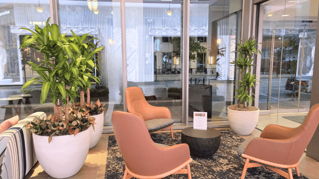 A St. Louis County office with plants creating a biophilic design