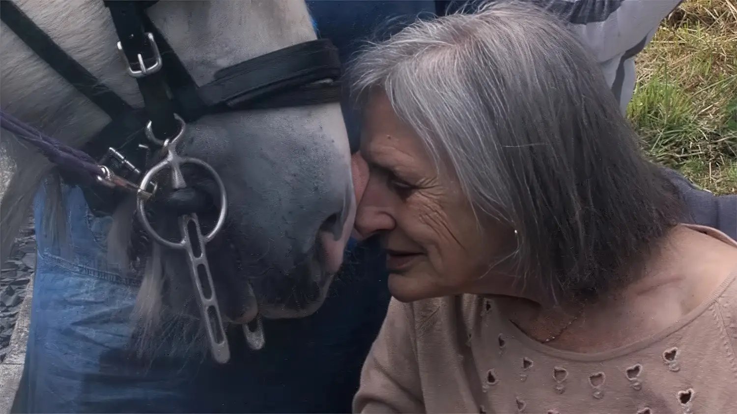 Close-up of a woman gently touching foreheads with a grey horse in a quiet outdoor setting.