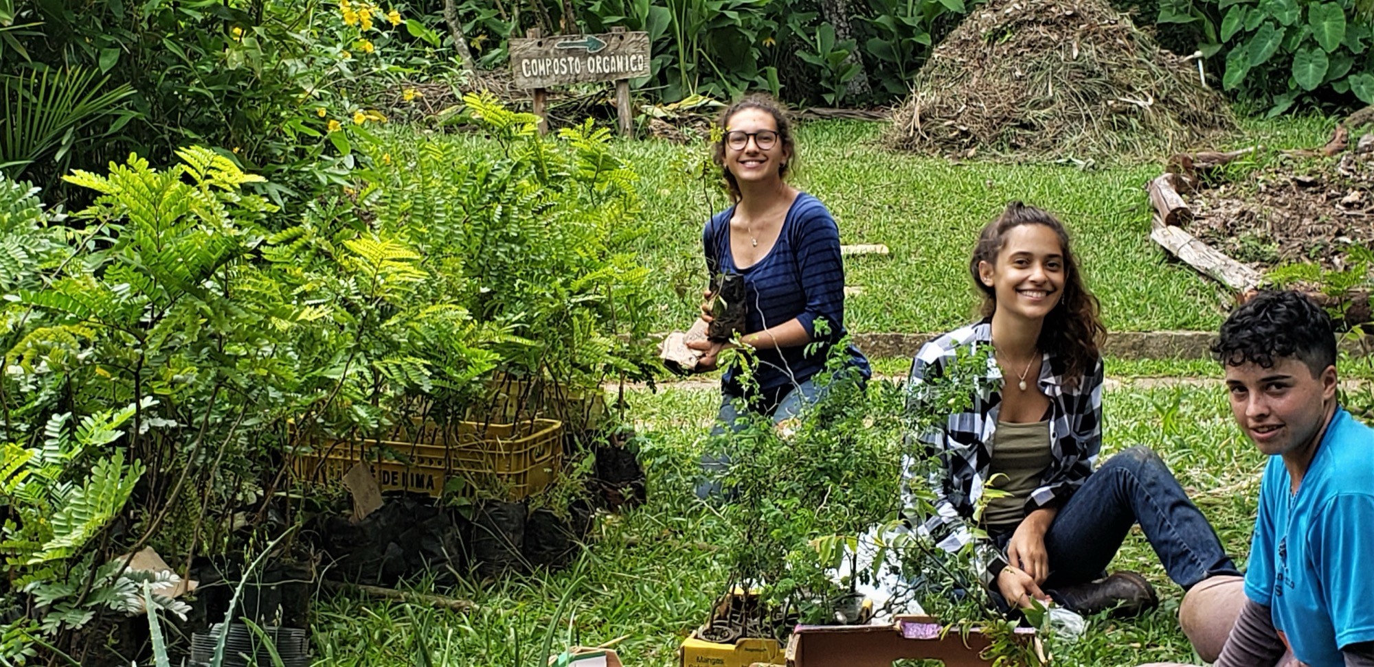 Três jovens sorridentes sentadas no gramado entre caixas com mudas de árvores