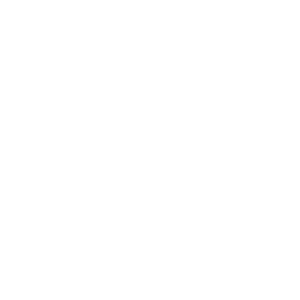Orbit Icon 1