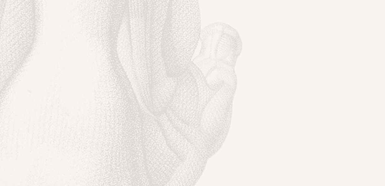 pathologies de l'arrière pied