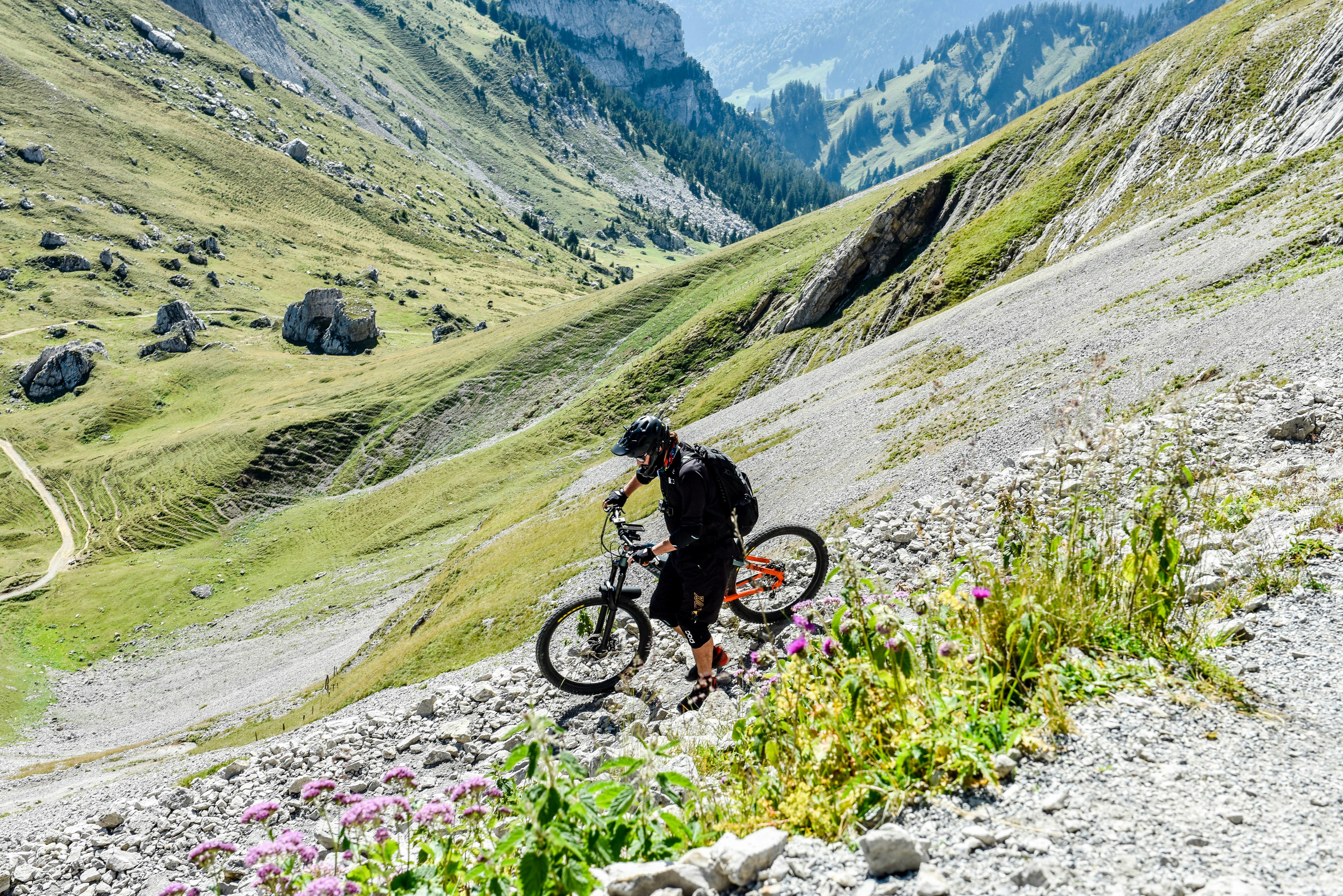 Close-up of a dark green leaf showing its textured surface and central vein against a muted background.