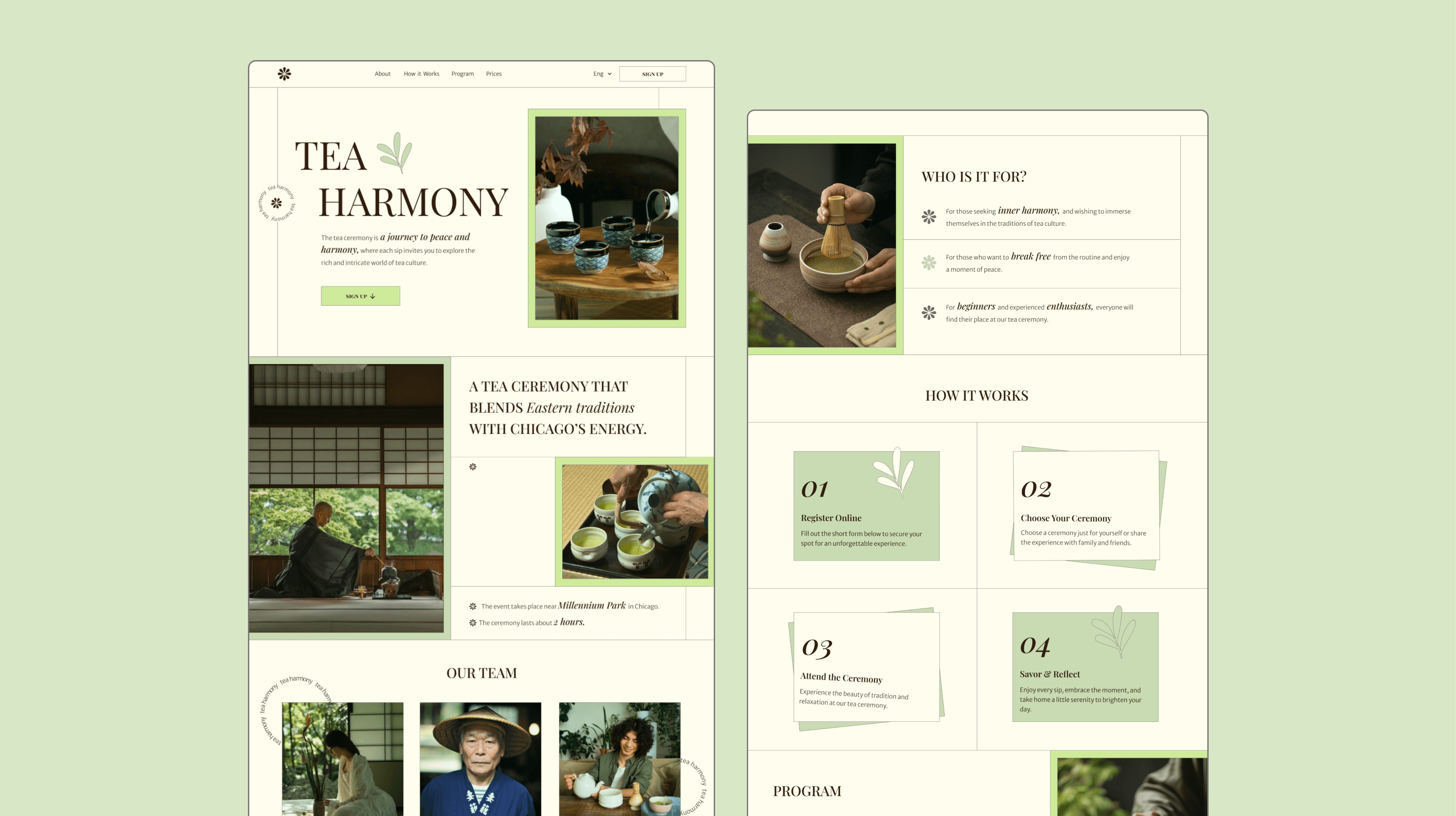 Landing page screens