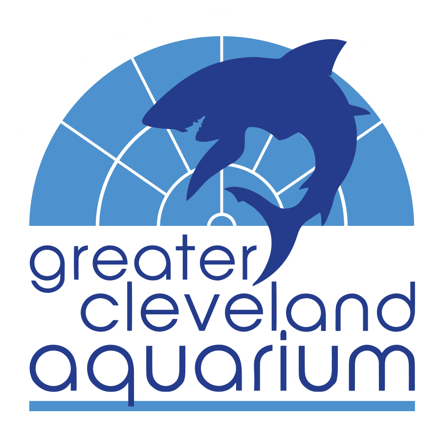 Oberlin College and Conservatory Music Theater Program