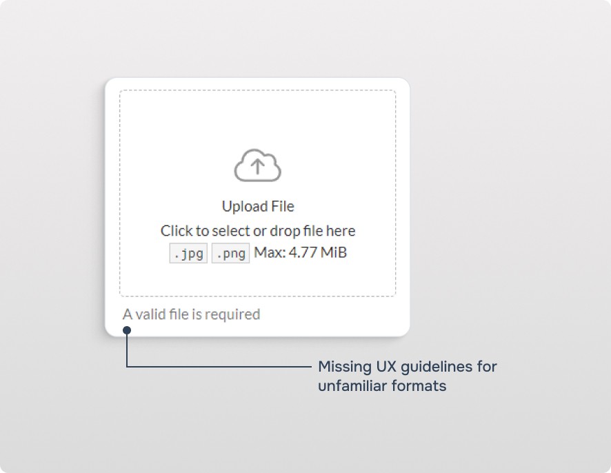 Image to show lack of UX guidelines for where to mention special formatted files