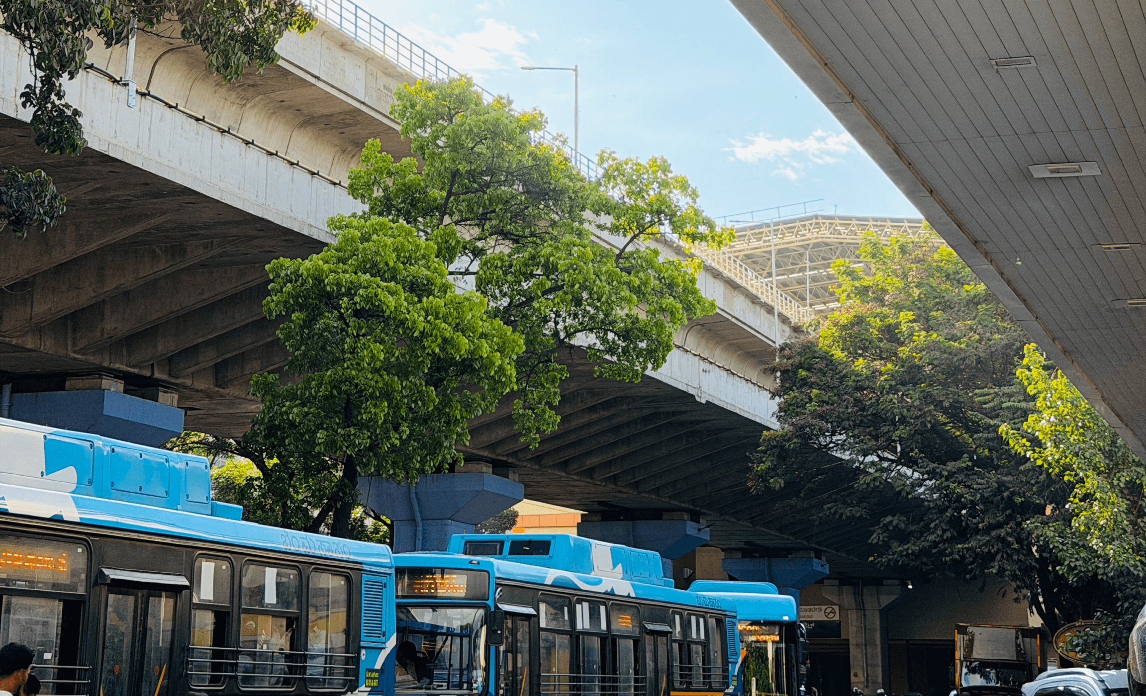 Row of blue public buses passes under a concrete overpass with lush green trees growing atop the structure in an urban setting.