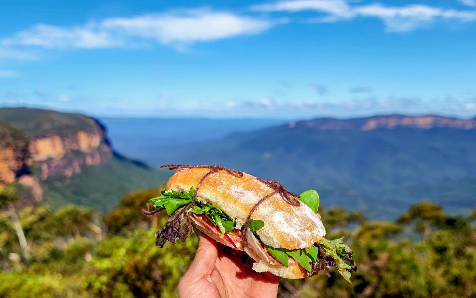 Blue Mountains day tour picnic lunch with waterfall view and nature walk in Sydney, Australia.